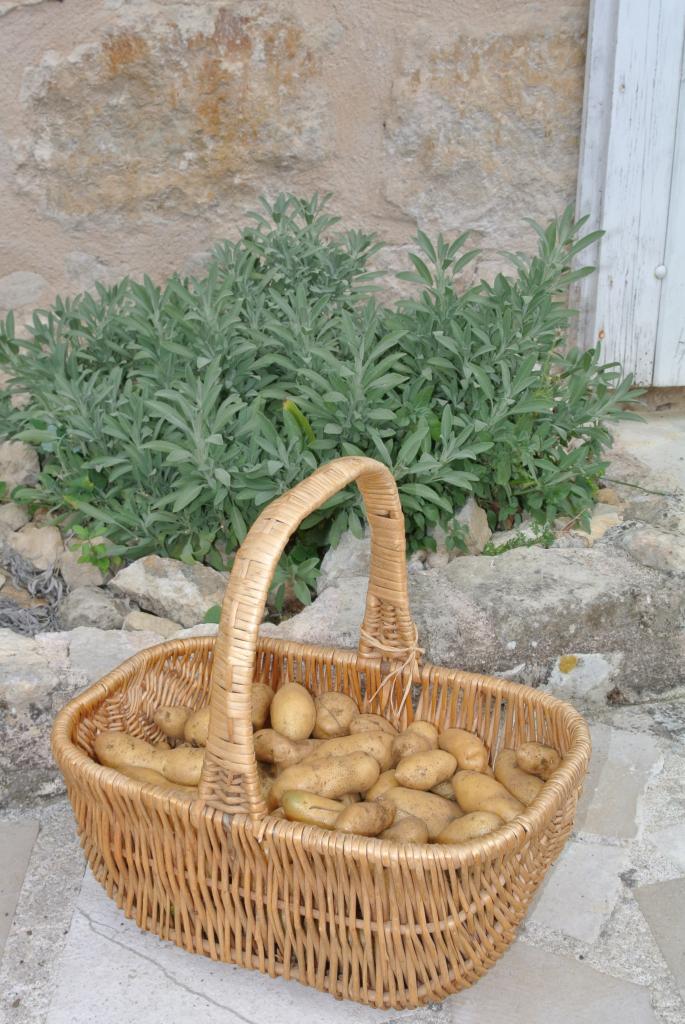 Potatoes from uour Garden