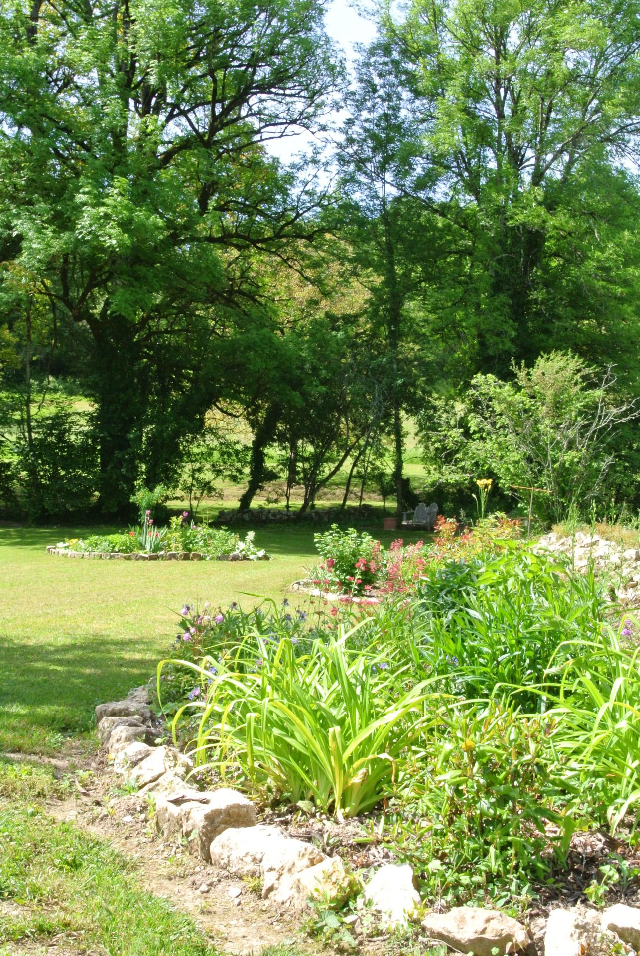 The garden