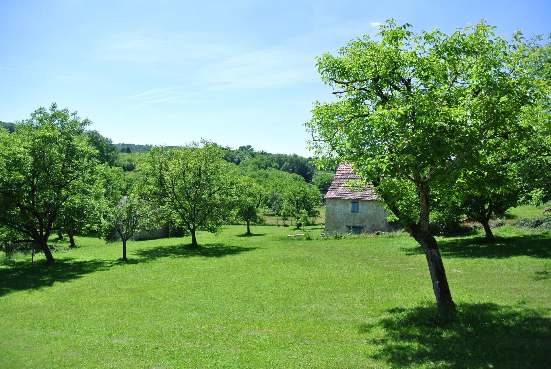 Vue sur la Noyeraie