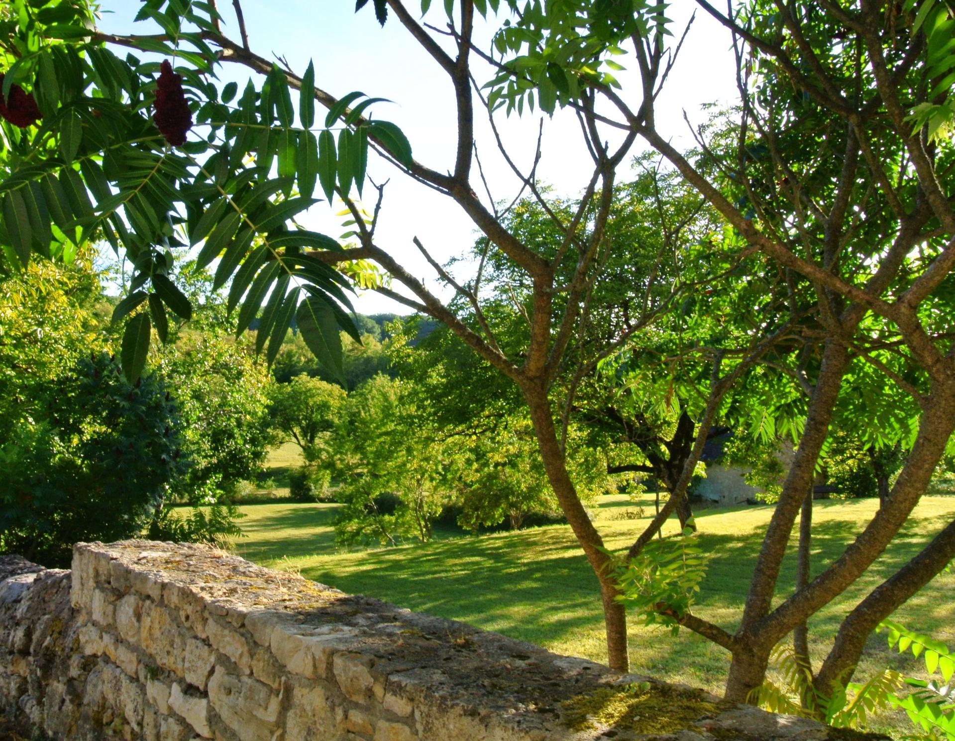 Vue sur la Noyeraie